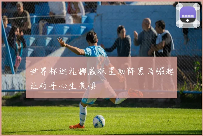 世界杯巡礼挪威双星助阵黑马崛起让对手心生畏惧