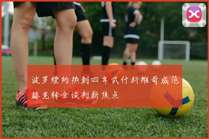 波罗续约热刺四年武什科维奇成范赫克转会谈判新焦点
