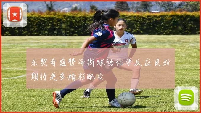 东契奇盛赞海斯球场化学反应良好期待更多精彩配合